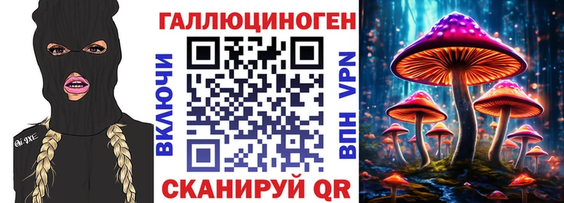Купить где  Кизляр  Псилоцибиновые грибы Psilocybine cubensis 